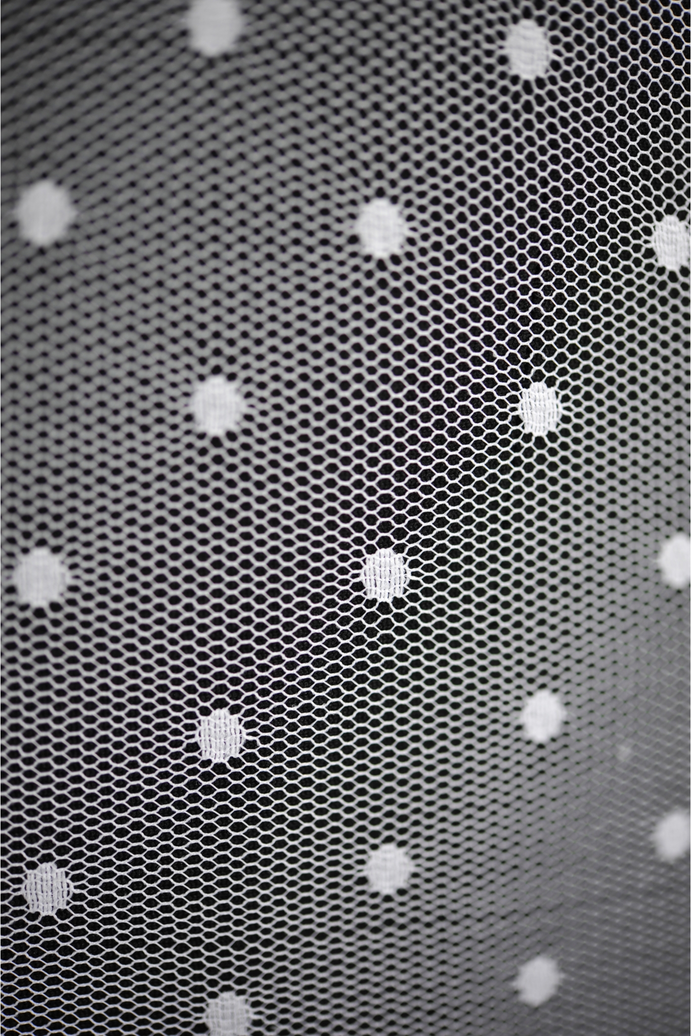 SHM4045 TIUL W KORPKI