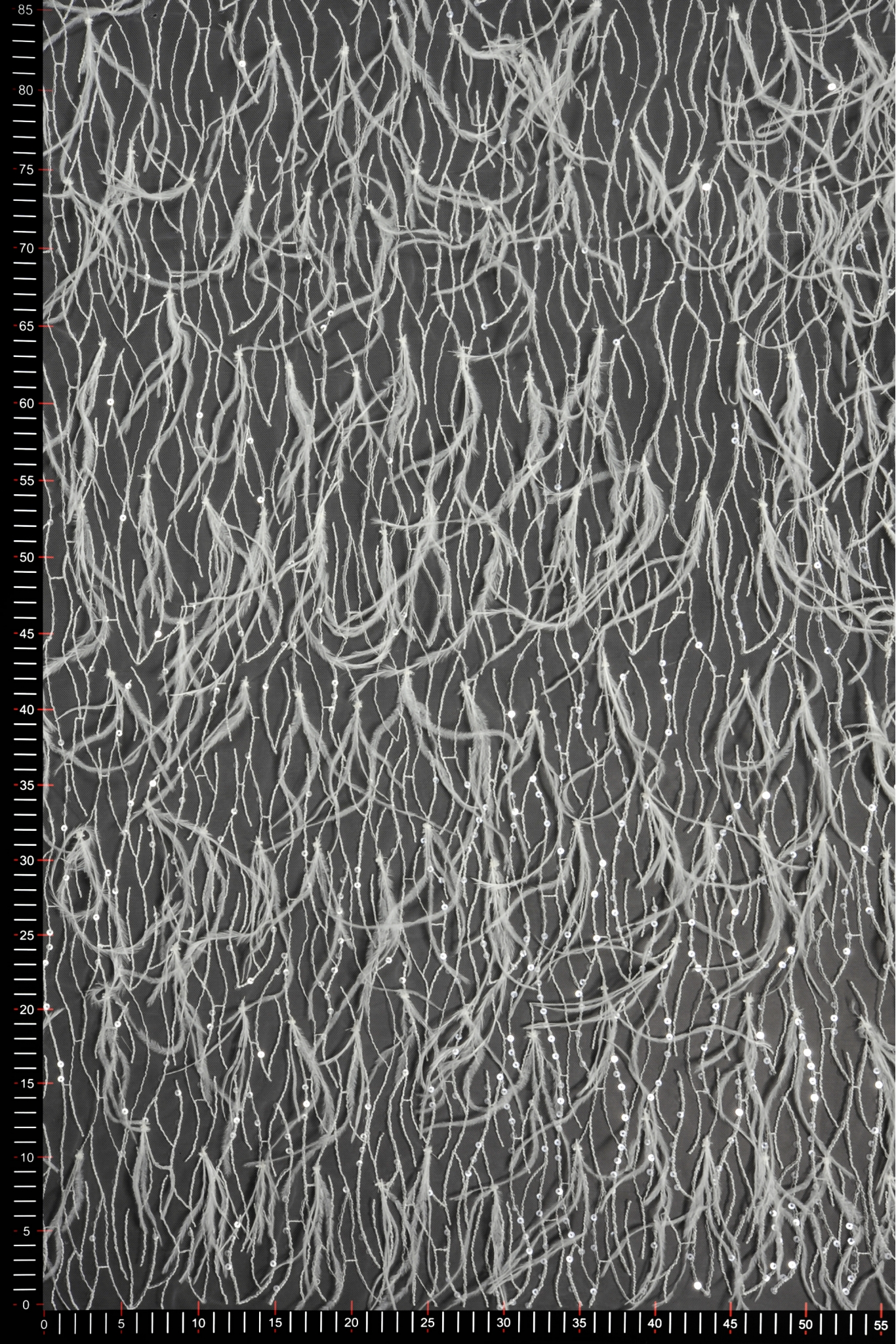 ML14981 STRAUSSENFEDER