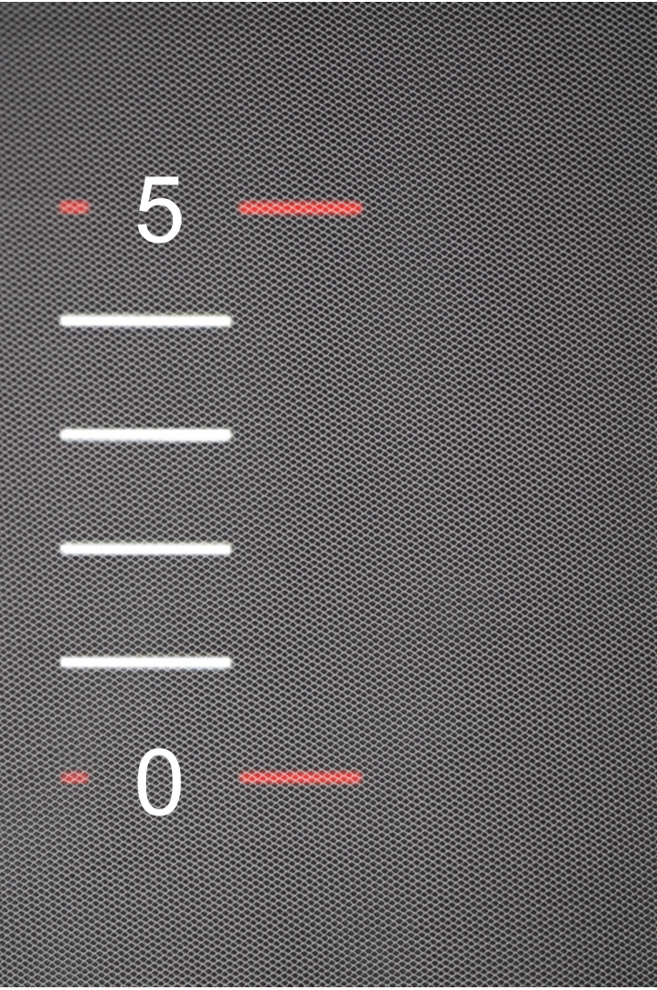 STEIF-TÜLL DÜNN CYGTY61