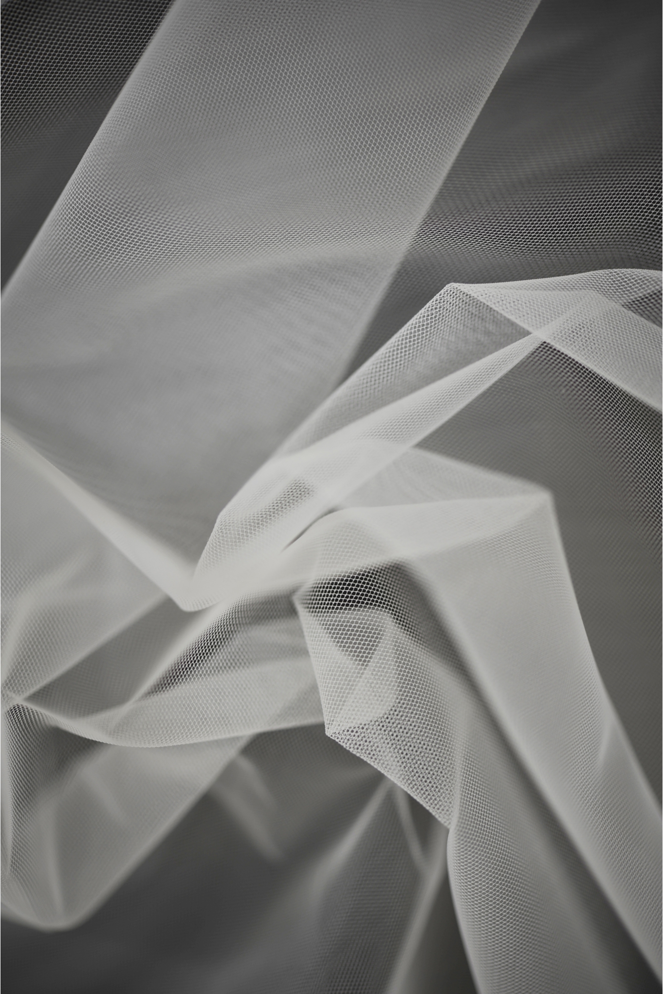 STEIF-TÜLL DÜNN CYGTY61