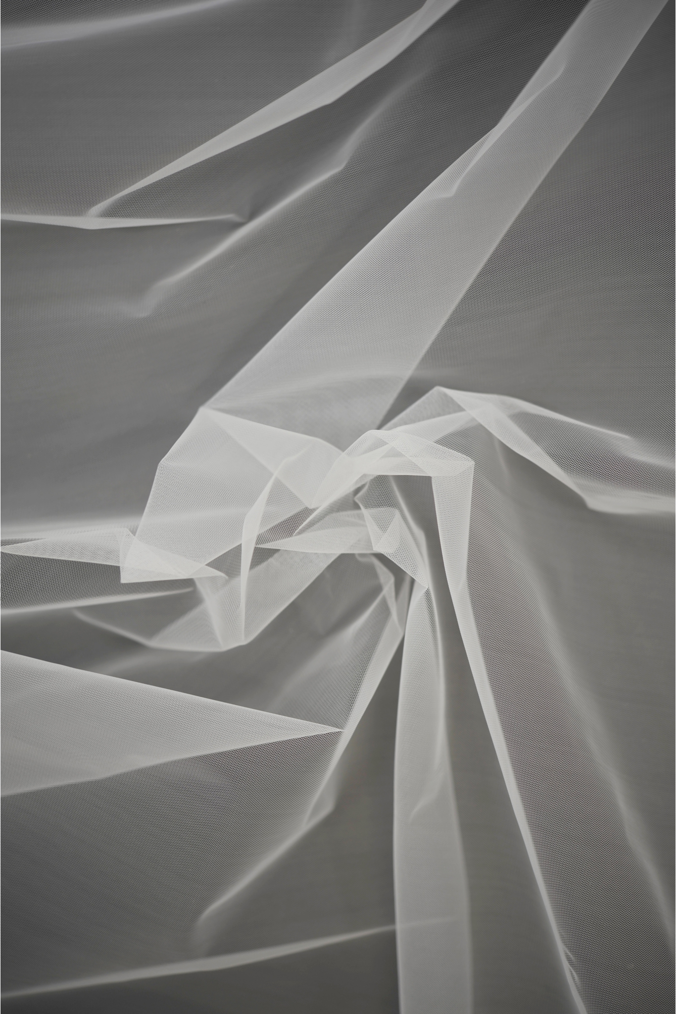 STEIF-TÜLL DÜNN CYGTY61