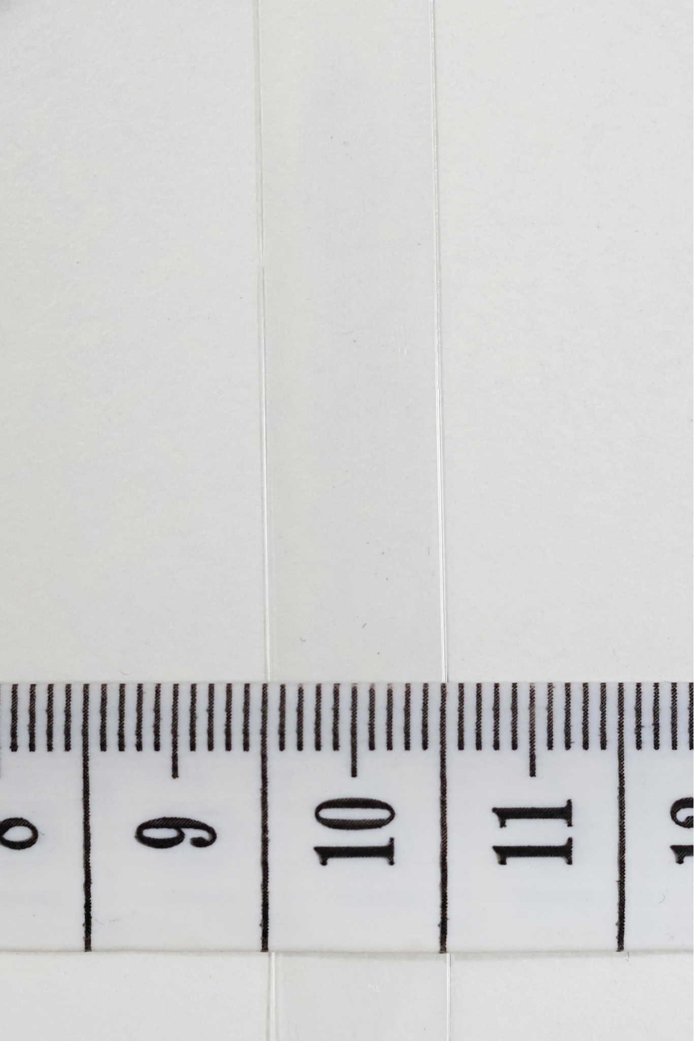 Halb transparentes elastisches Band