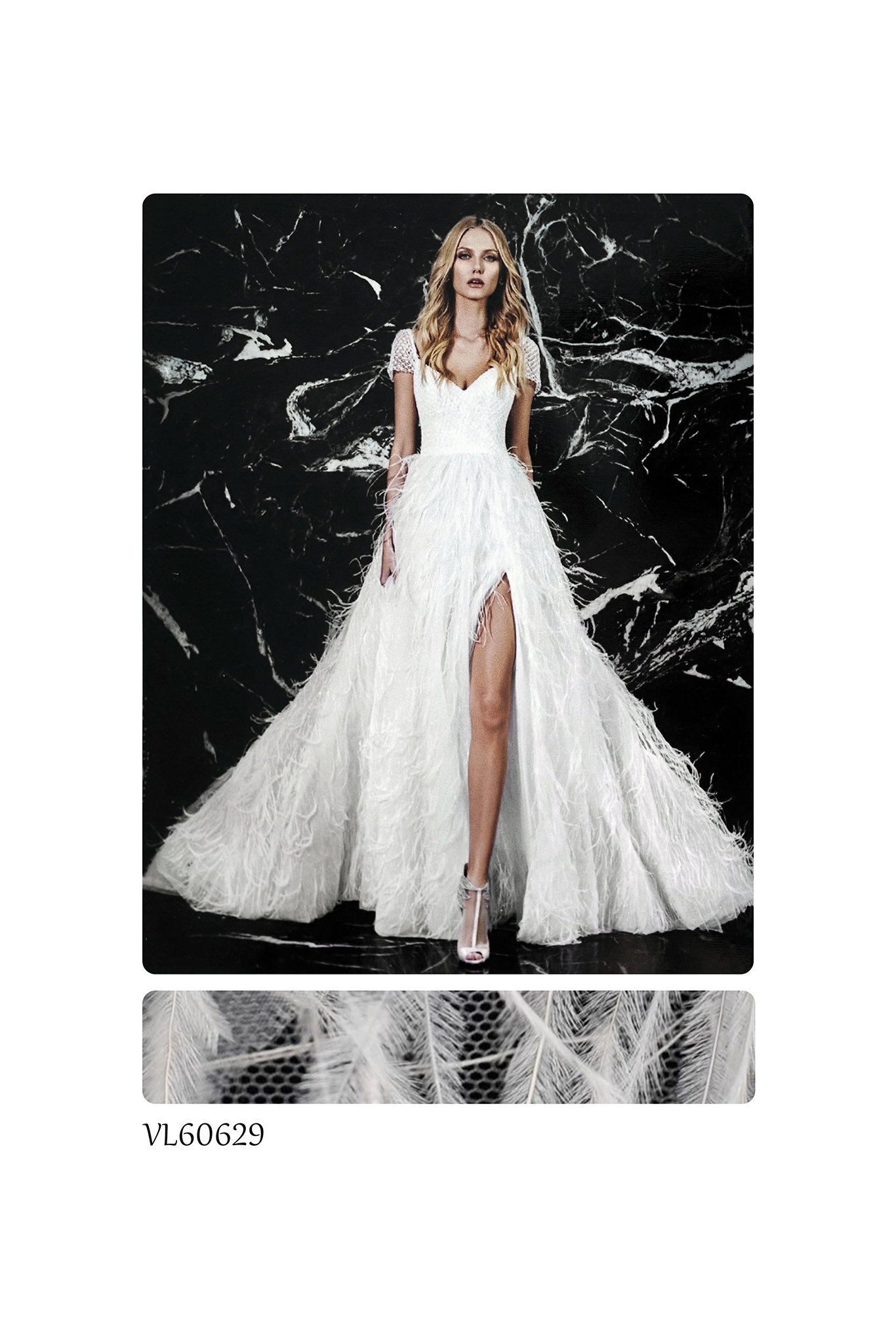 VL60629 OSTRICH FEATHERS