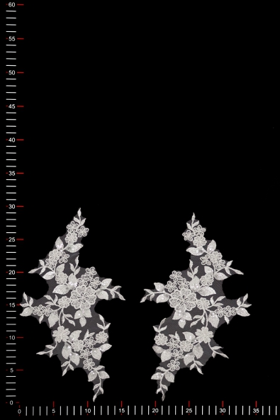 MOTIF 40672  PAIR