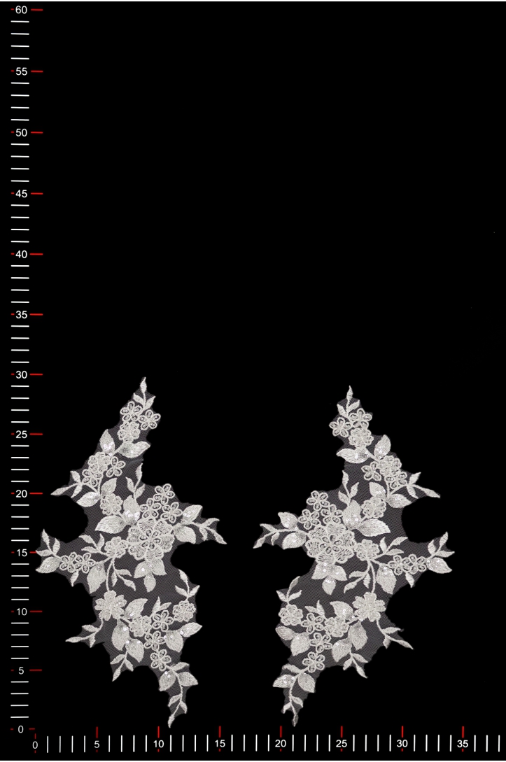 MOTIF 40672  PAIR