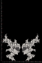 MOTIF 40673 PAIR