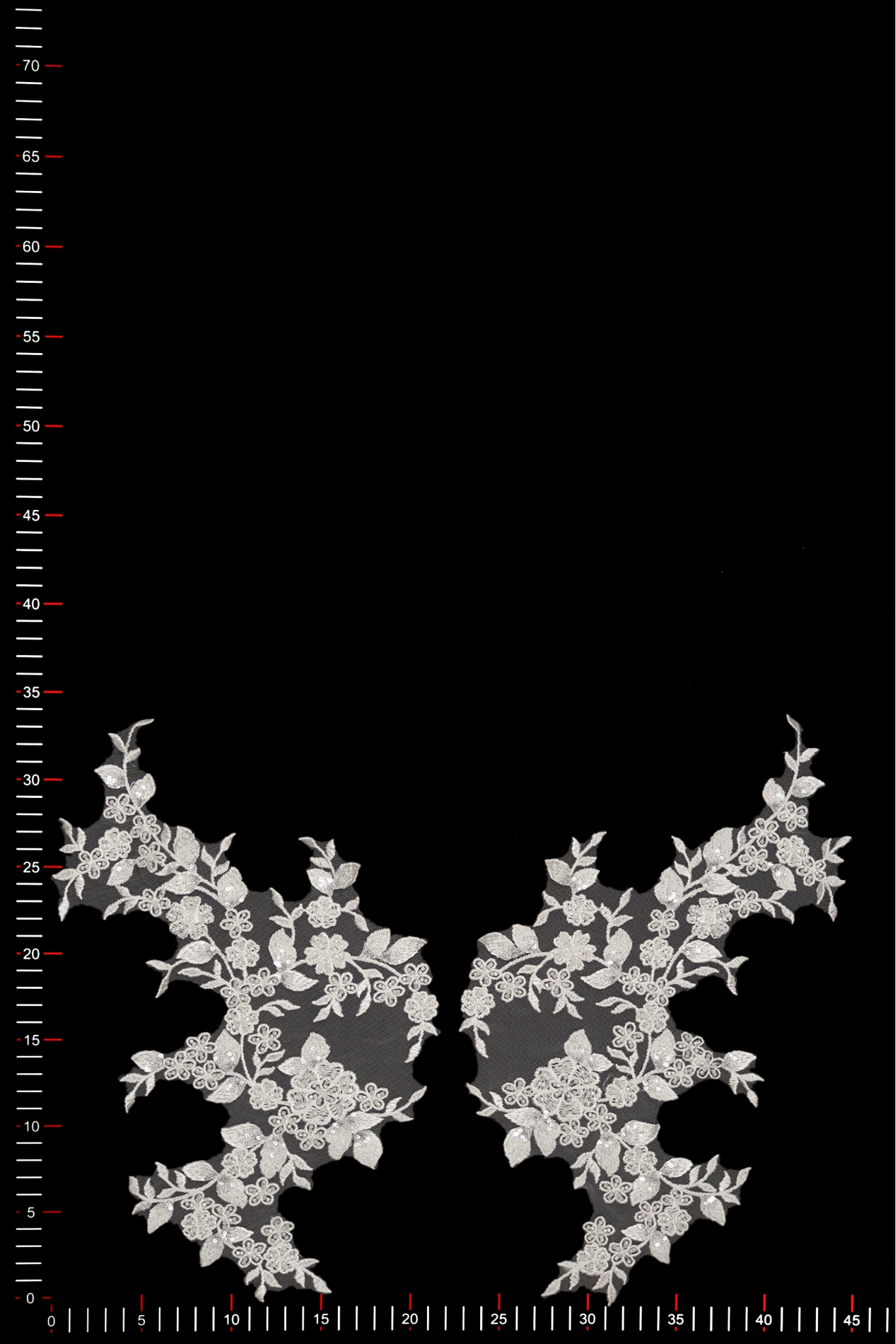 MOTIF 40673 PAIR