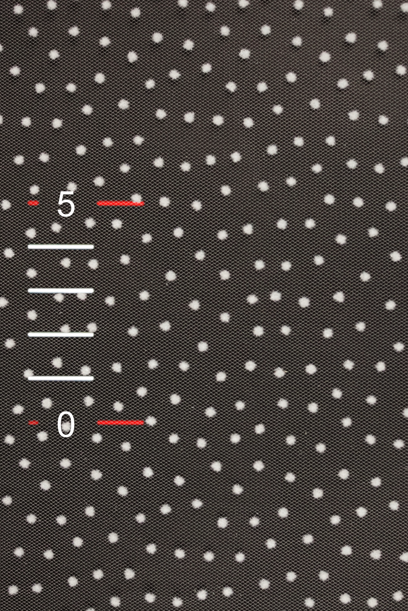 SOFT TULLE WITH DOTS 3406