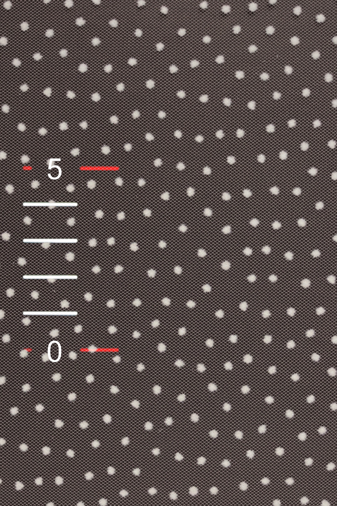 SOFT TULLE WITH DOTS 3406