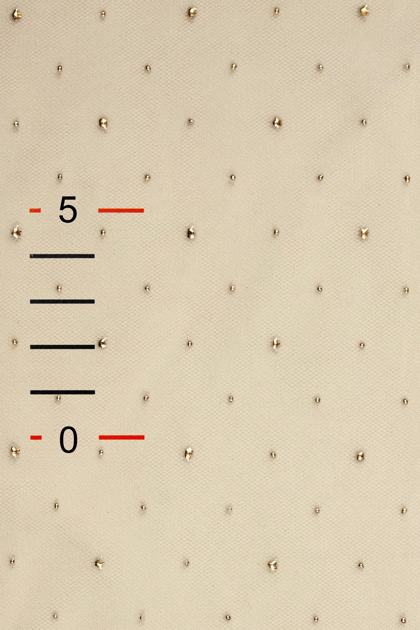 TÜLL MIT PUNKTE T2465