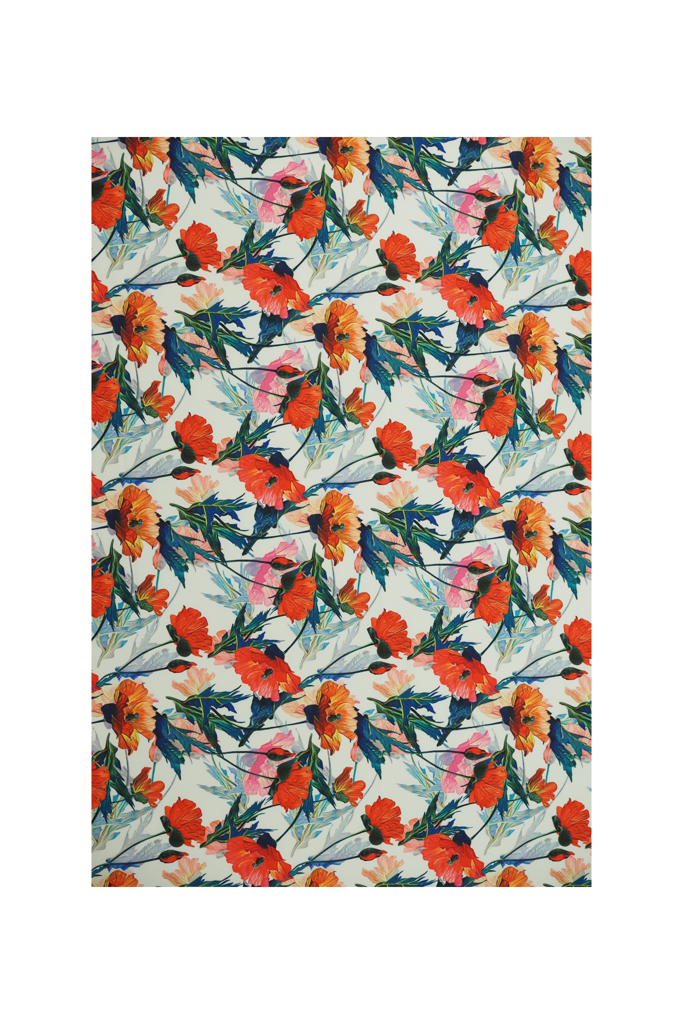 LATINO WITH OVERPRINT