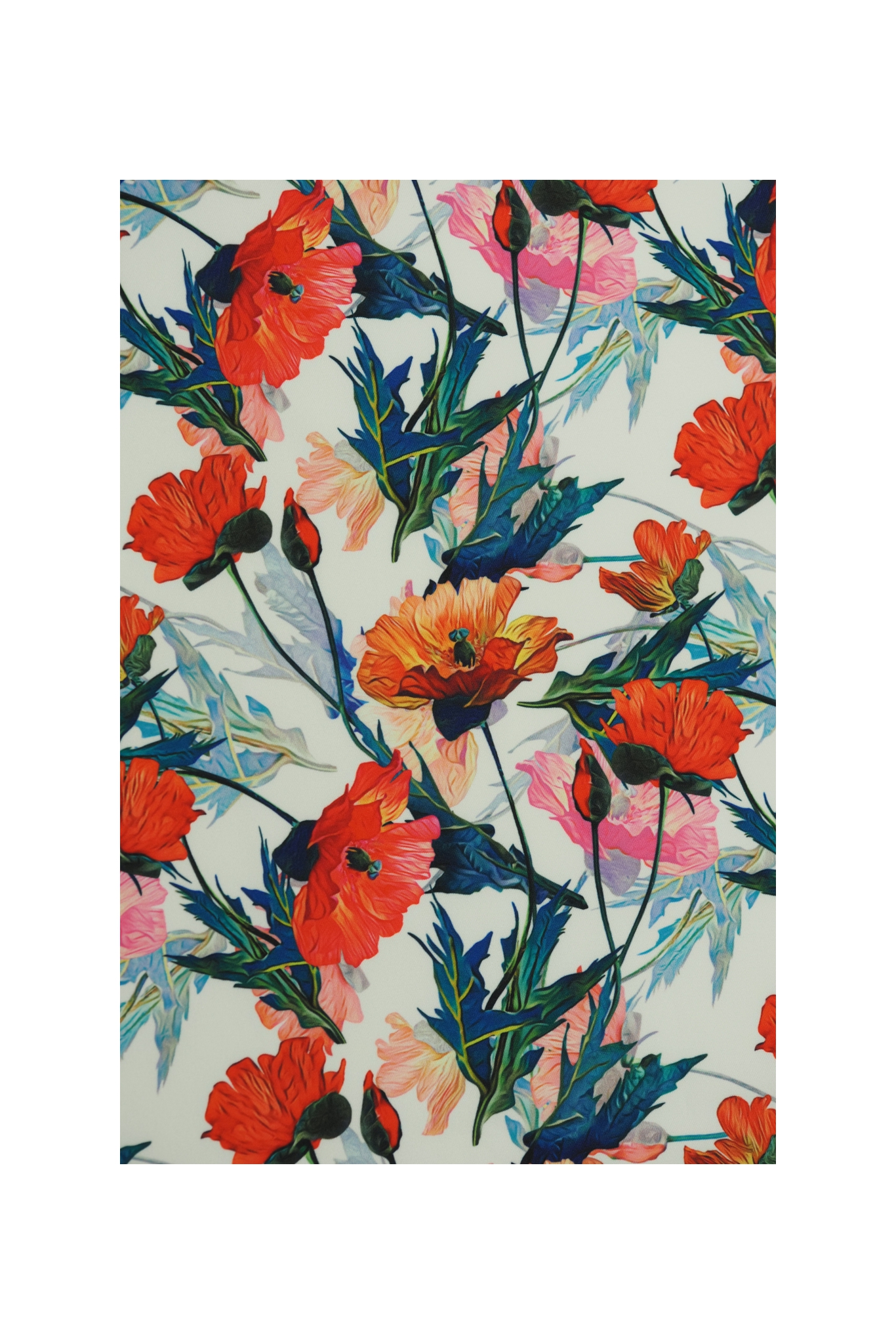 LATINO WITH OVERPRINT