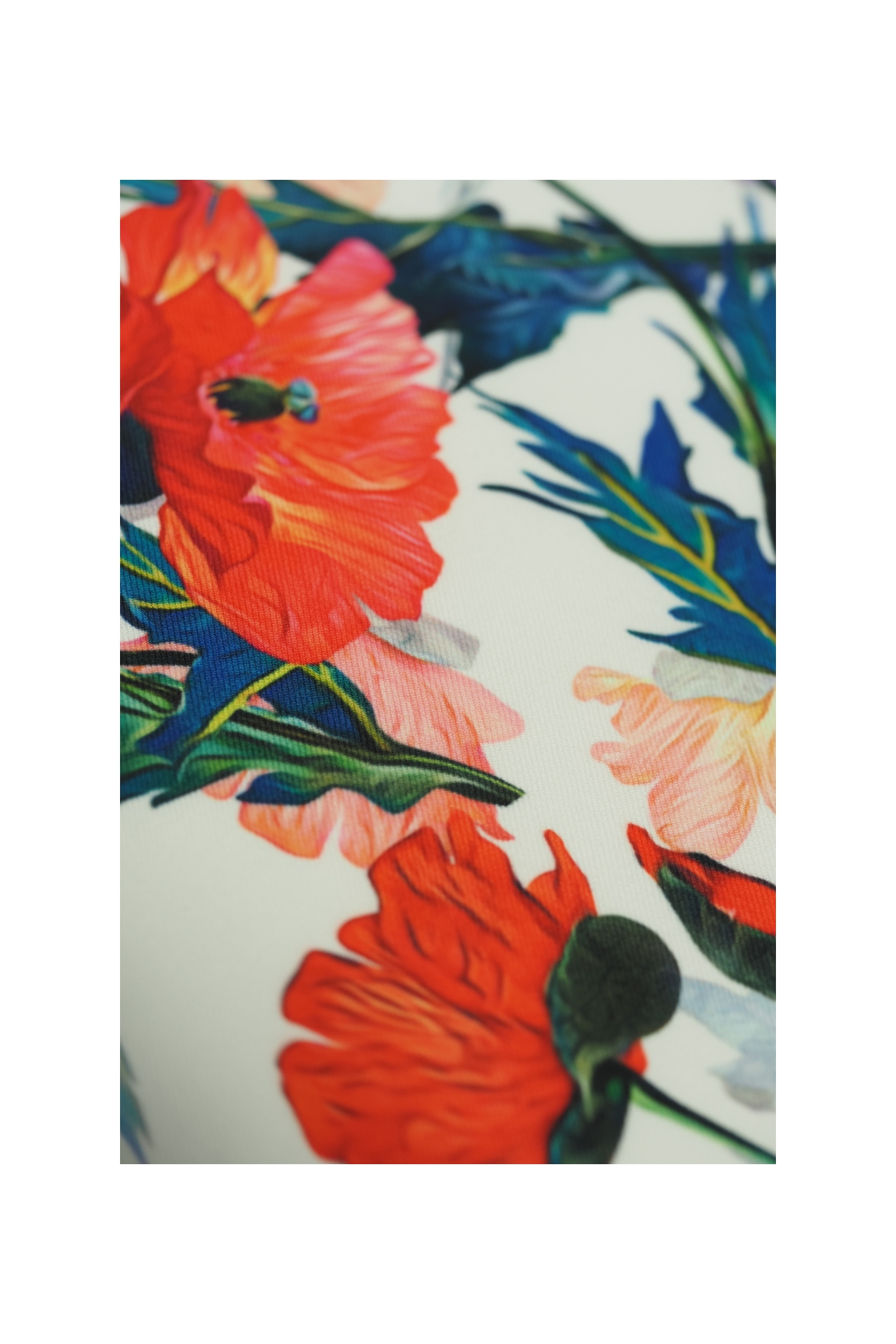 LATINO WITH OVERPRINT