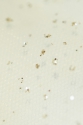TULLE WITH GLITTER LER1004 OFF WHITE/GOLD
