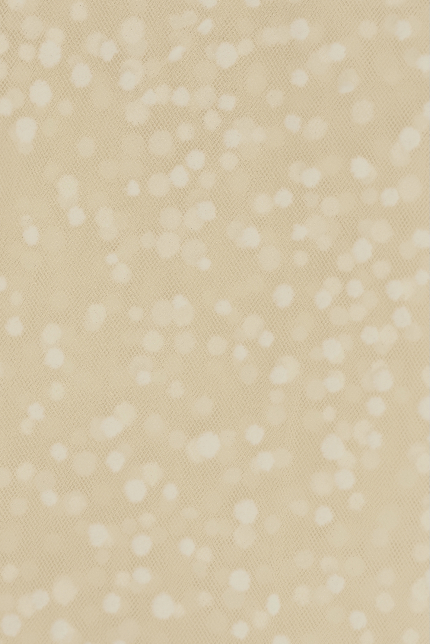 TÜLL MIT PUNKTE 3463