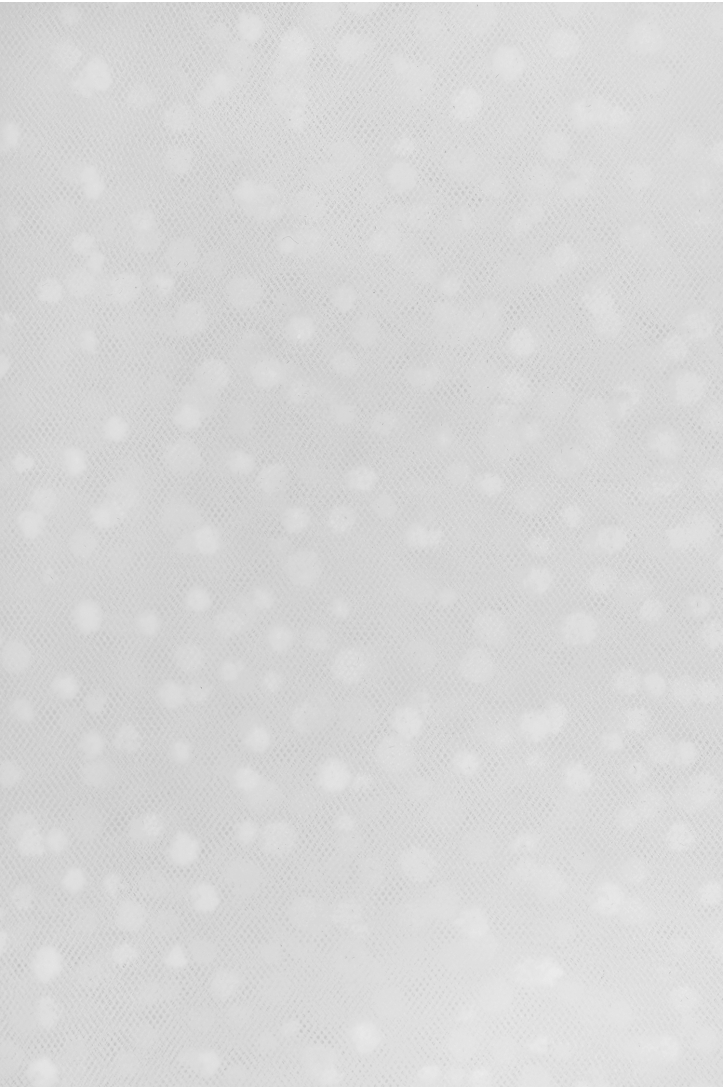 TULLE WITH DOTS 3463