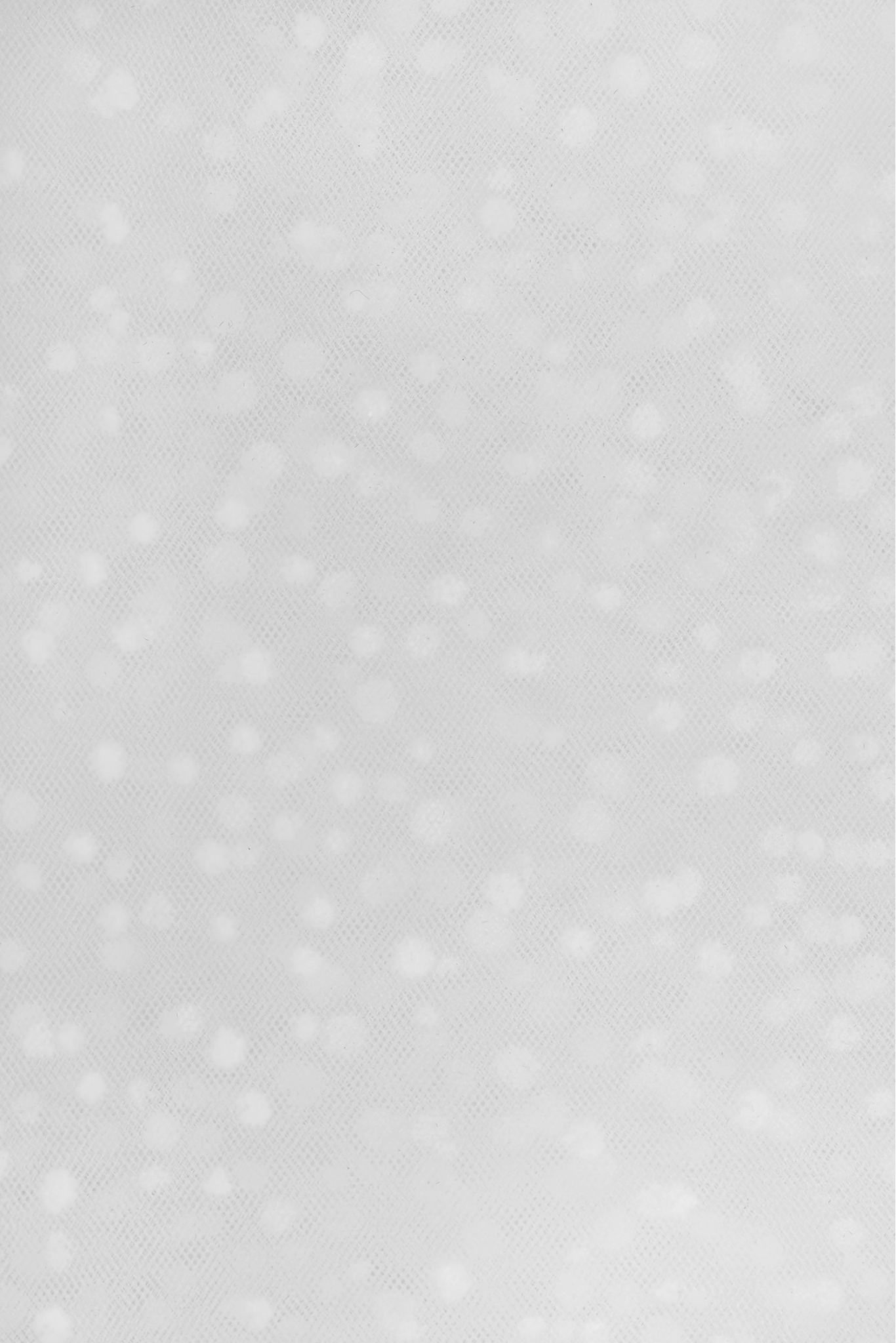 TULLE WITH DOTS 3463