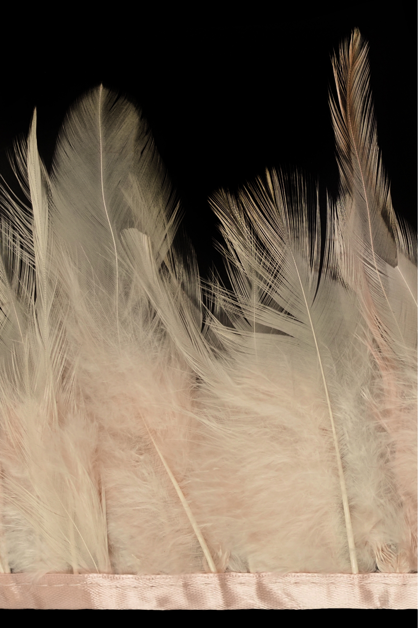 TRIM VL GOOSE FEATHER TRIM 1033