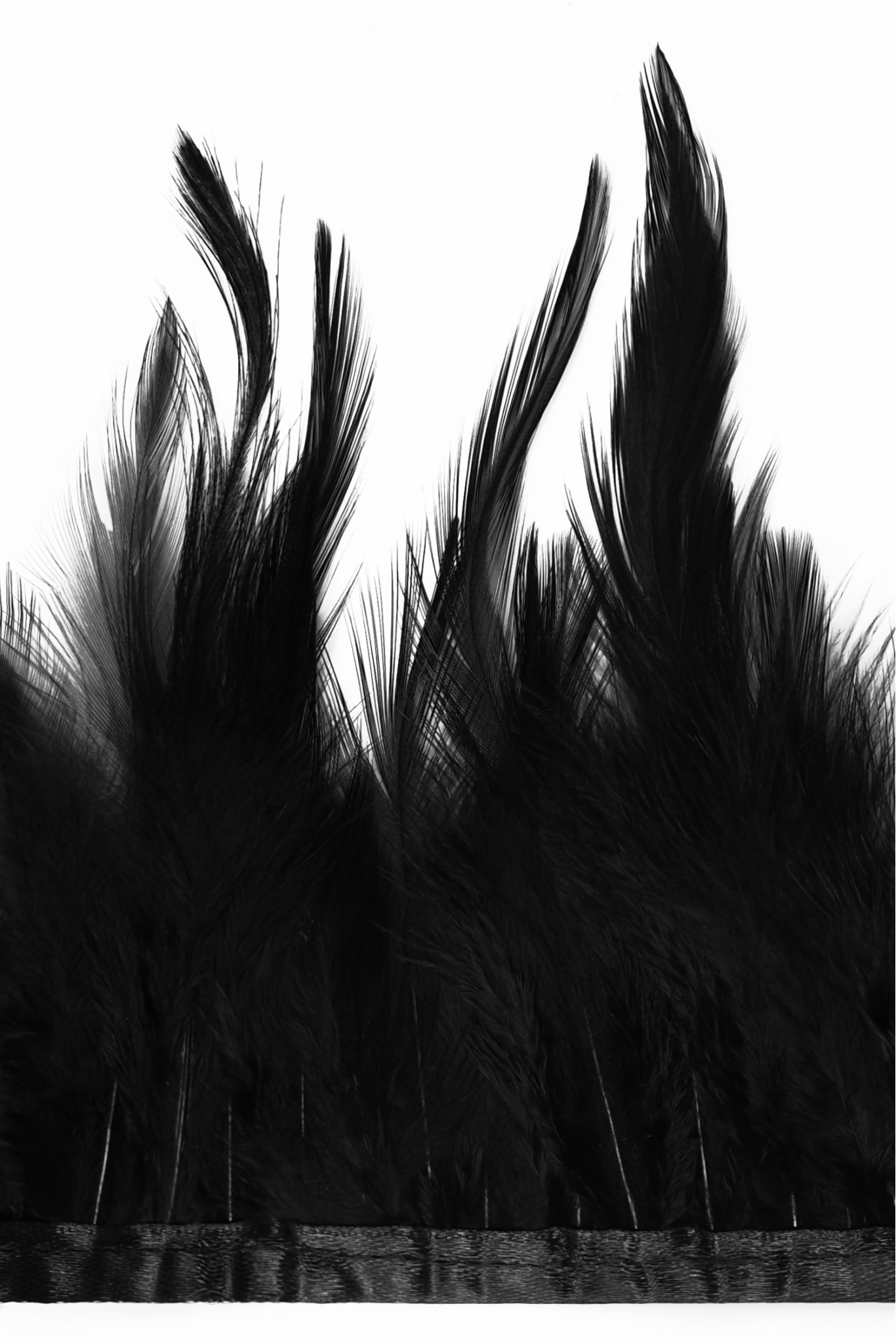 BAND VL GÄNSEFEDERN-BAND 1033