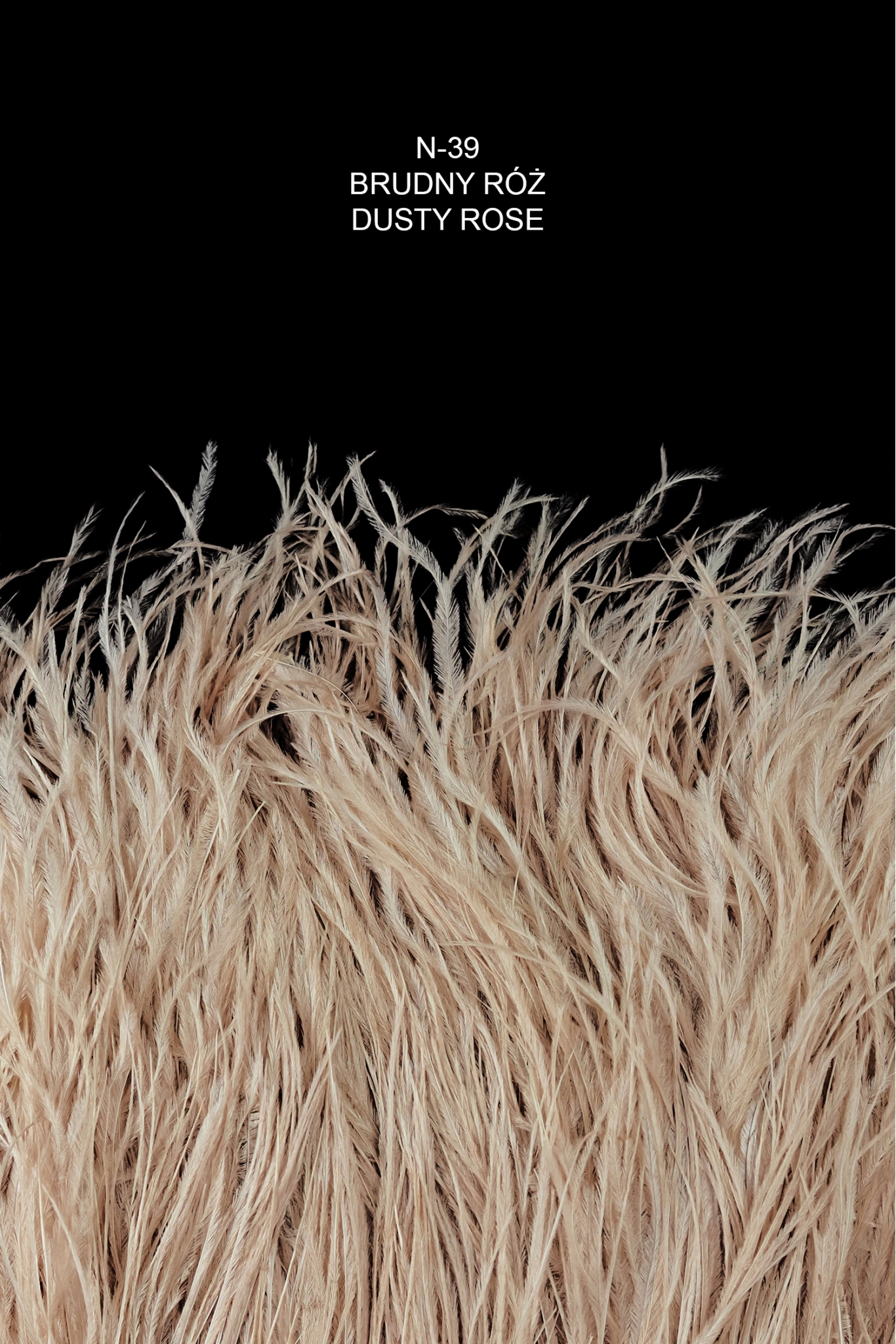 OSTRICH FEATHER TRIM