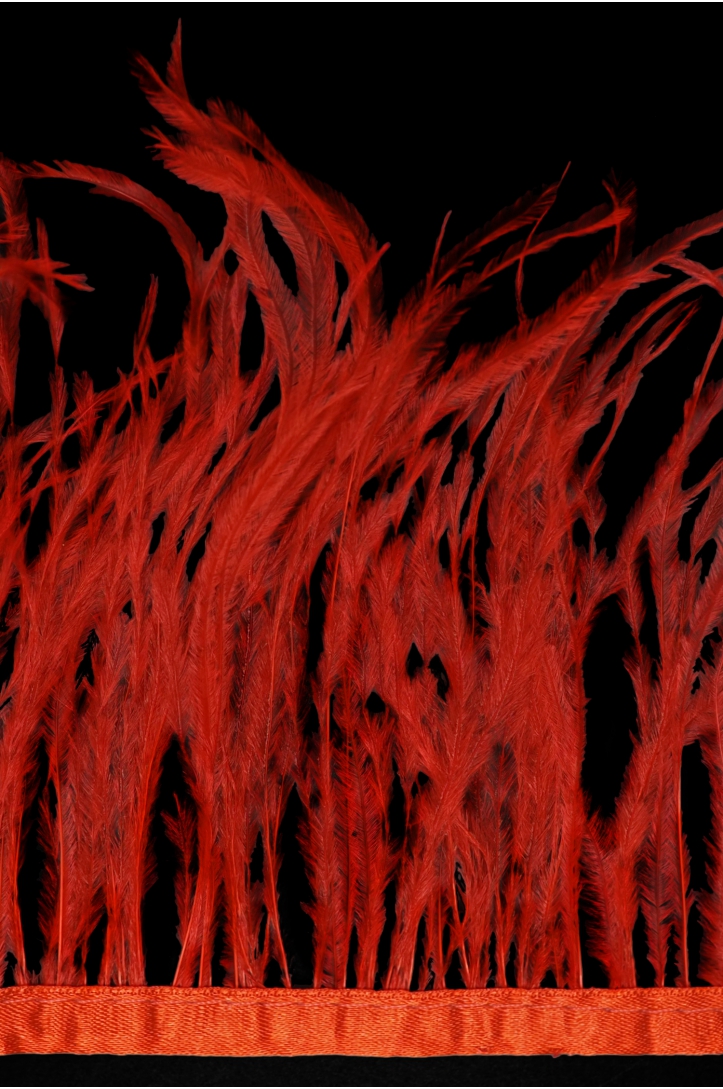 BAND VL STRAUSSENFEDER-1030