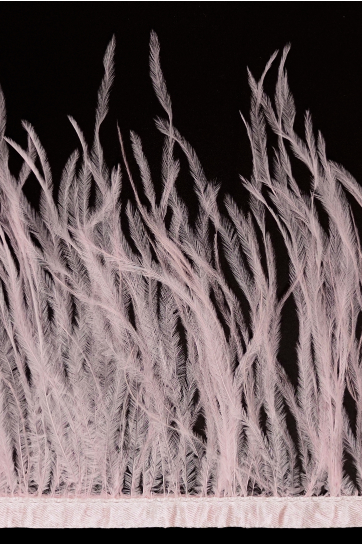 BAND VL STRAUSSENFEDER-1030