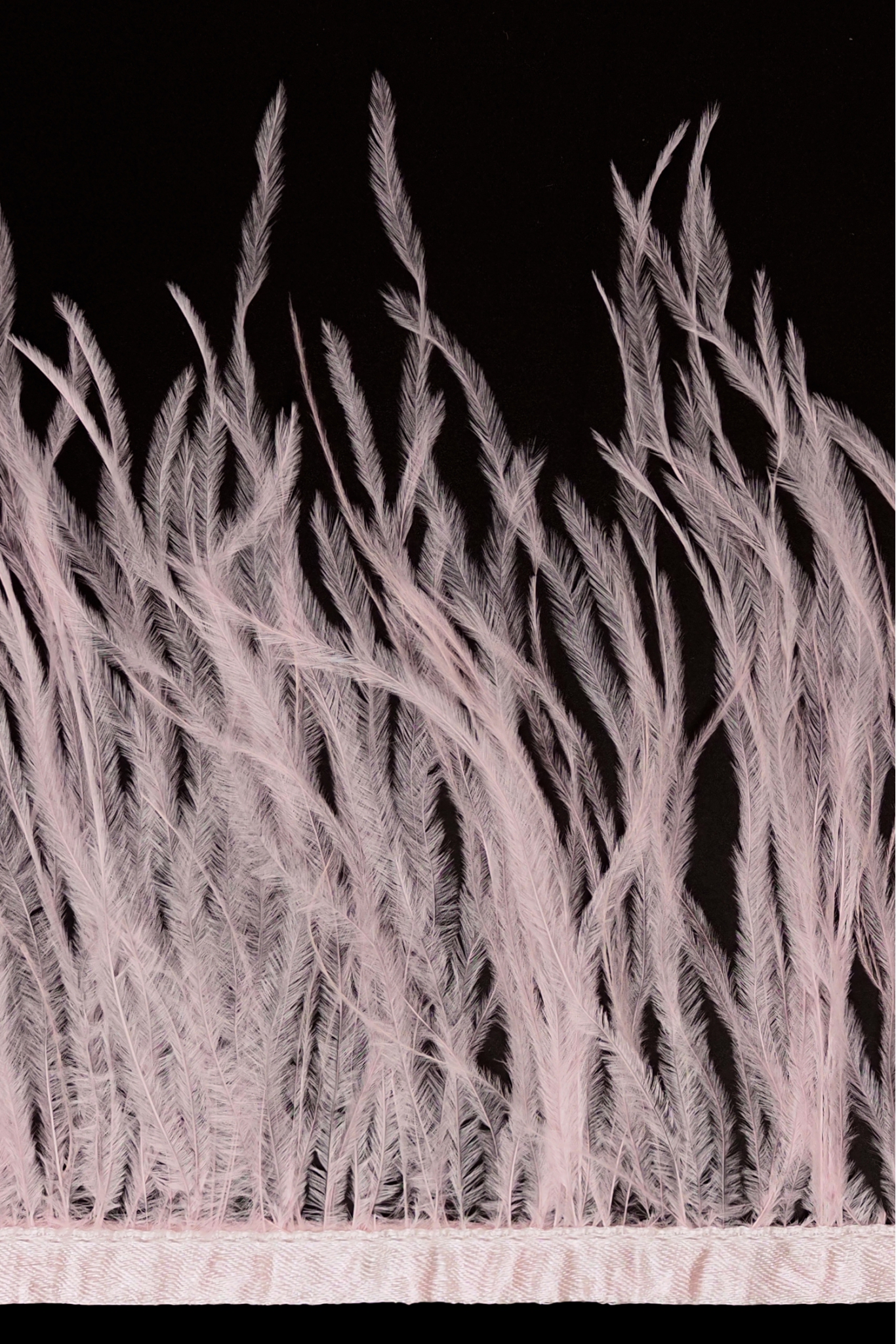 BAND VL STRAUSSENFEDER-1030