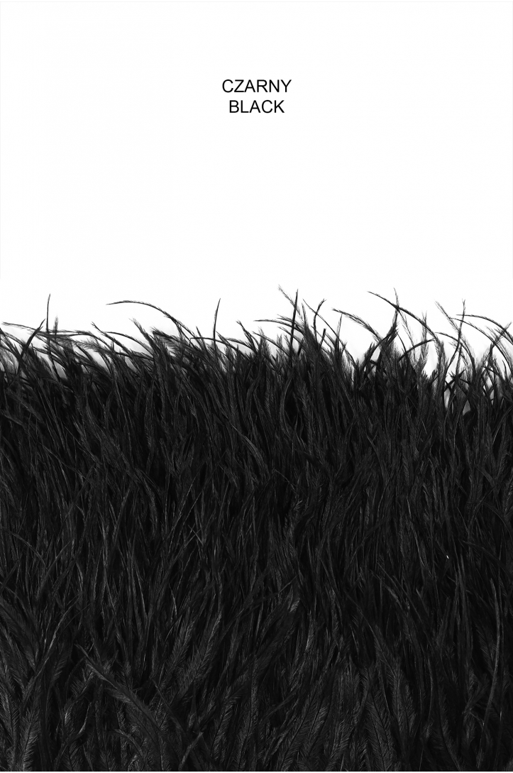 BAND VL STRAUSSENFEDER-1030