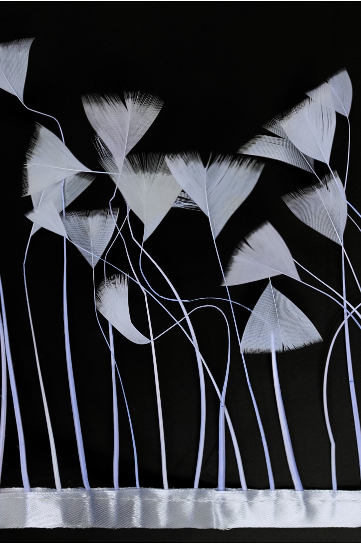 TRIM VL GOOSE FEATHER TRIM 1033