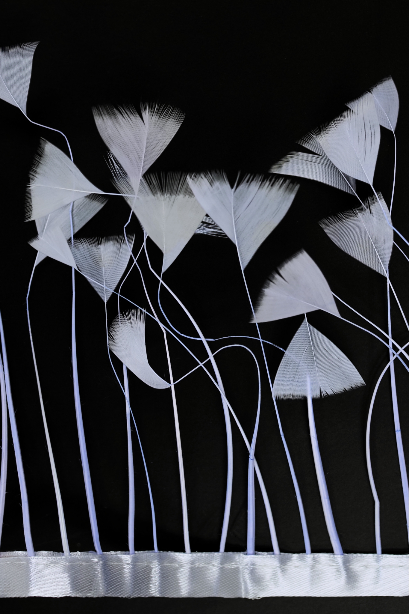 TRIM VL GOOSE FEATHER TRIM 1033