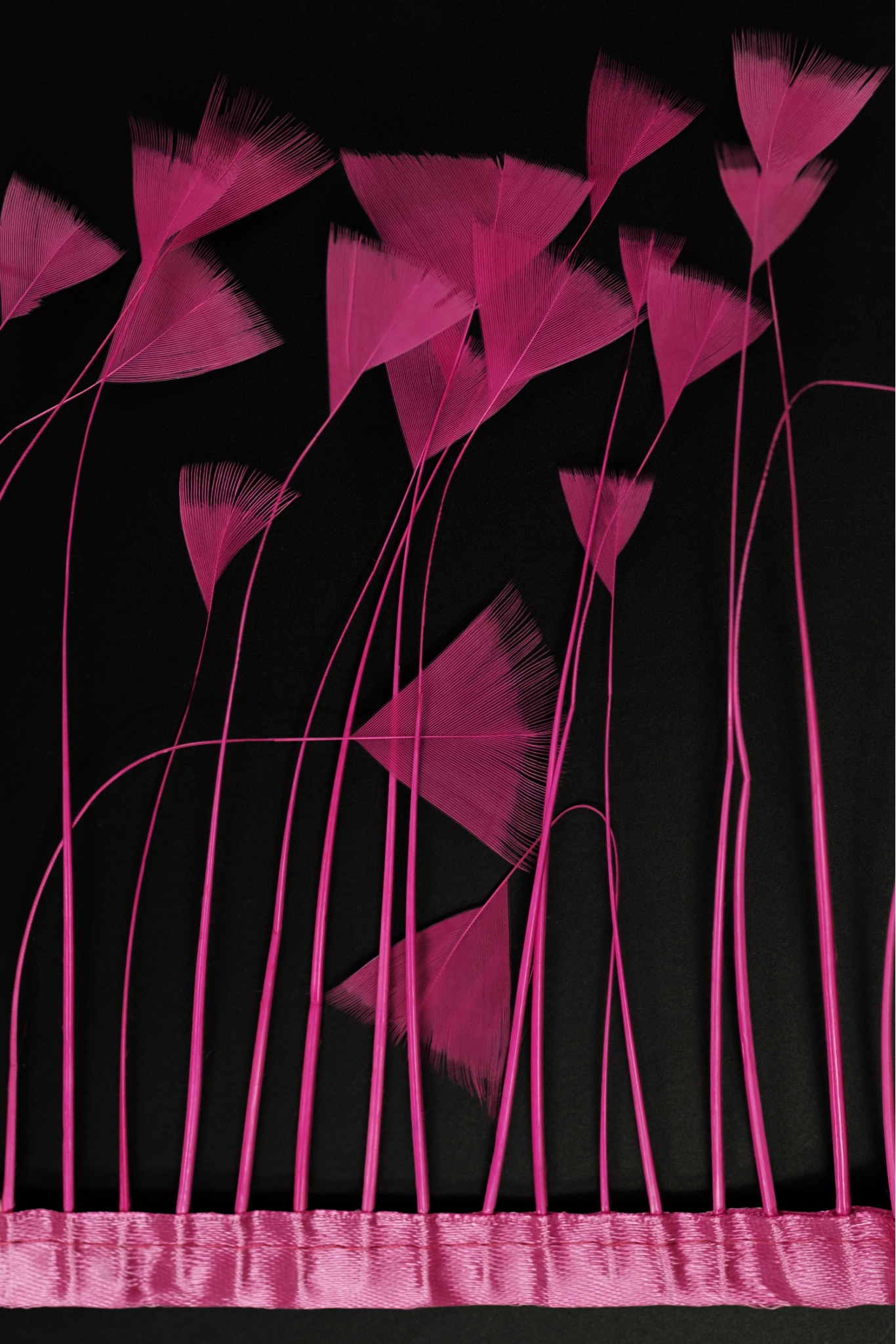 TAŚMA VL TAŚMA PIÓRA 1034