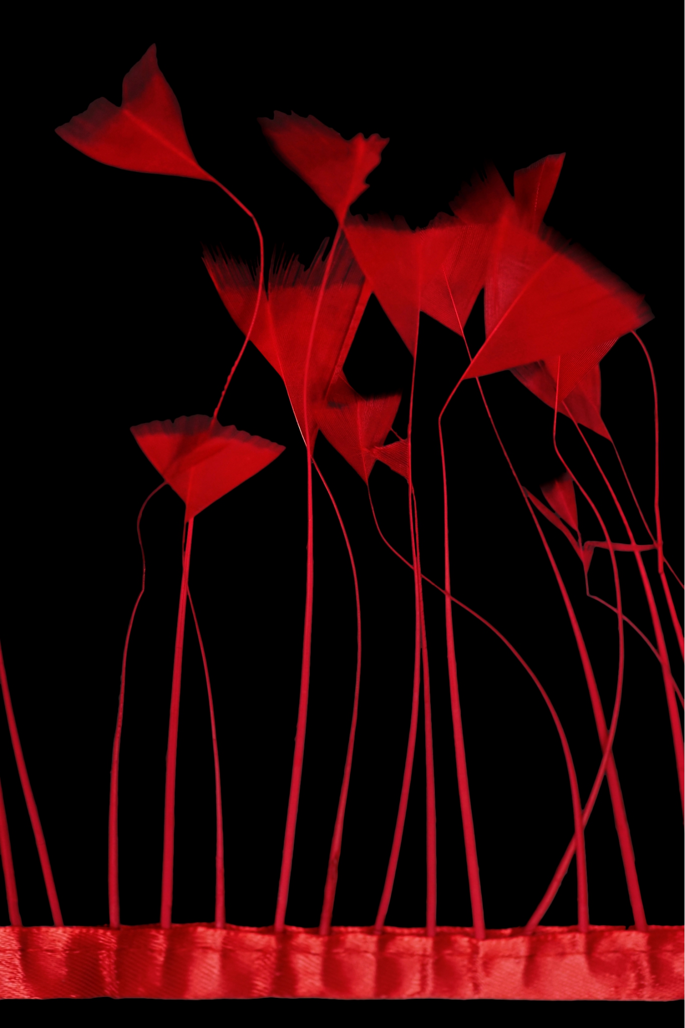 BAND VL GÄNSEFEDERN-BAND 1033