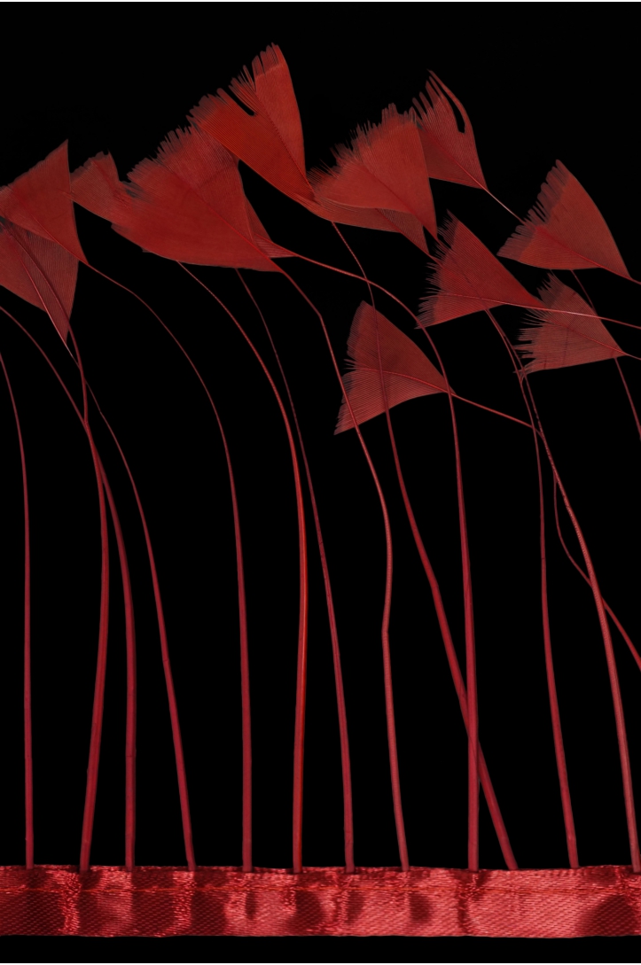 TRIM VL GOOSE FEATHER TRIM 1033