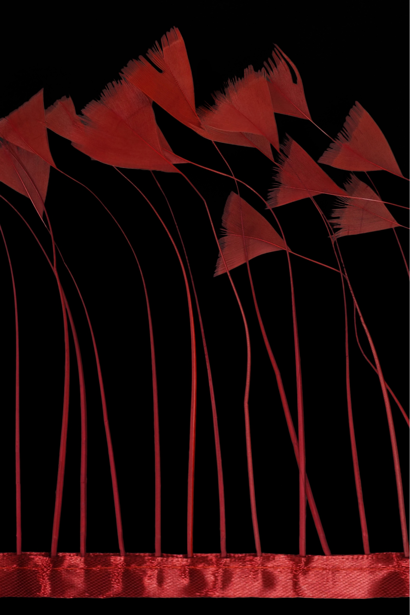 TRIM VL GOOSE FEATHER TRIM 1033