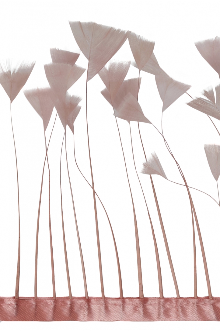 TRIM VL GOOSE FEATHER TRIM 1033