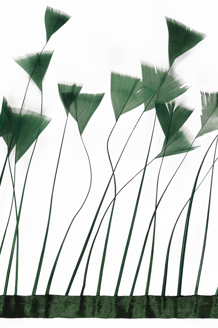 BAND VL GÄNSEFEDERN-BAND 1033