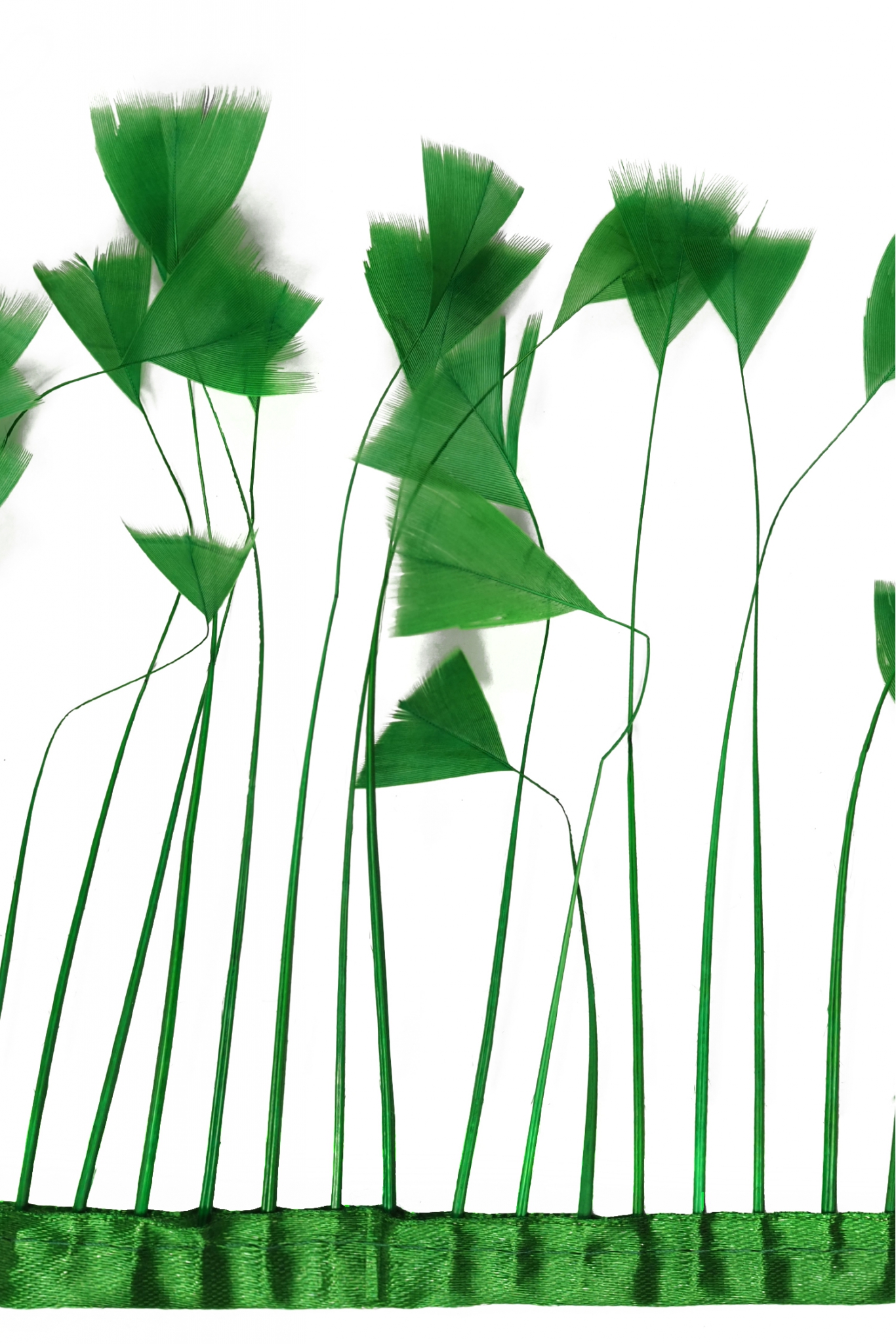 BAND VL GÄNSEFEDERN-BAND 1033