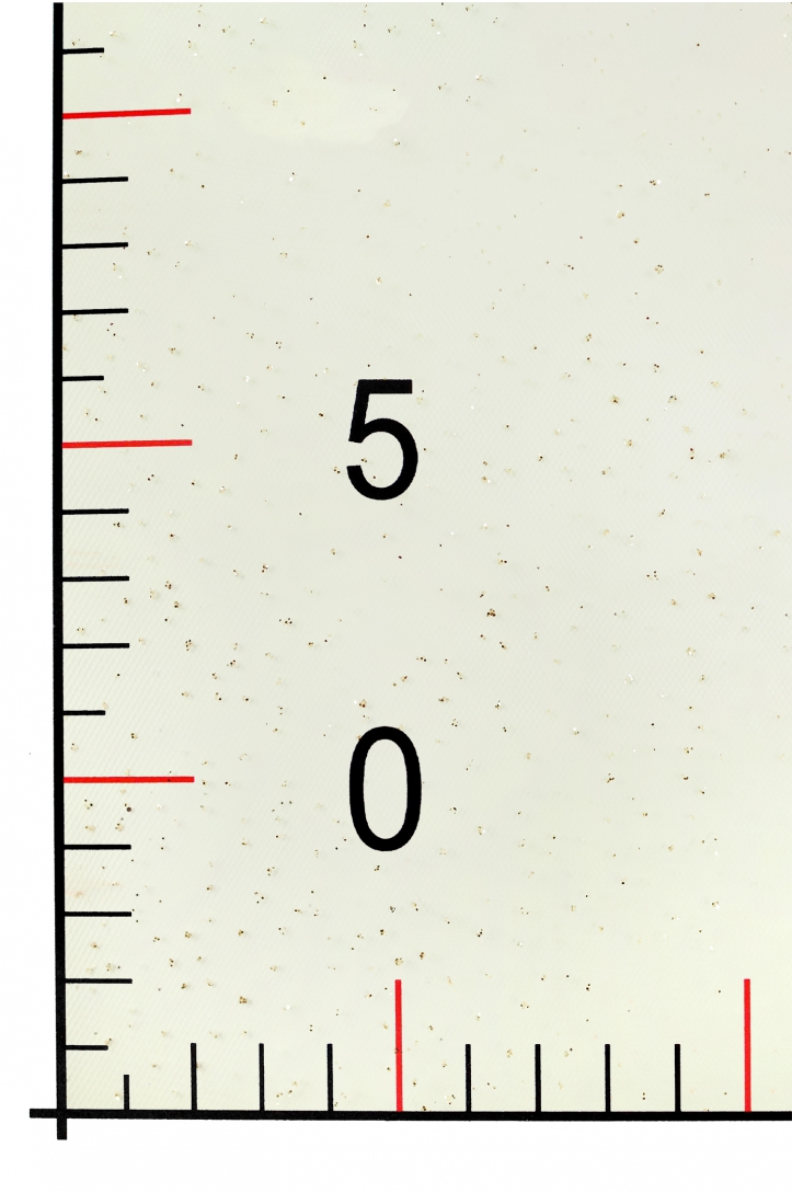 TULLE WITH GLITTER LER1004 OFF WHITE/GOLD