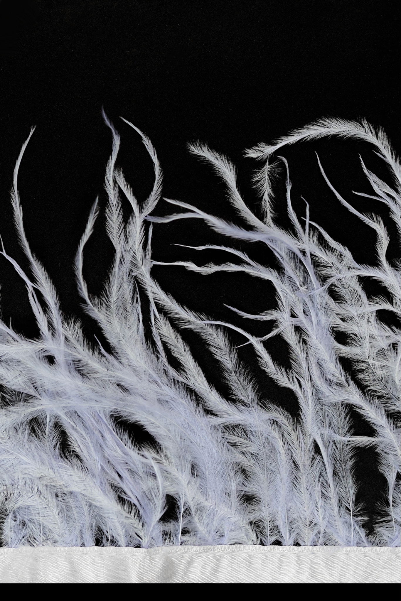 OSTRICH FEATHER TRIM