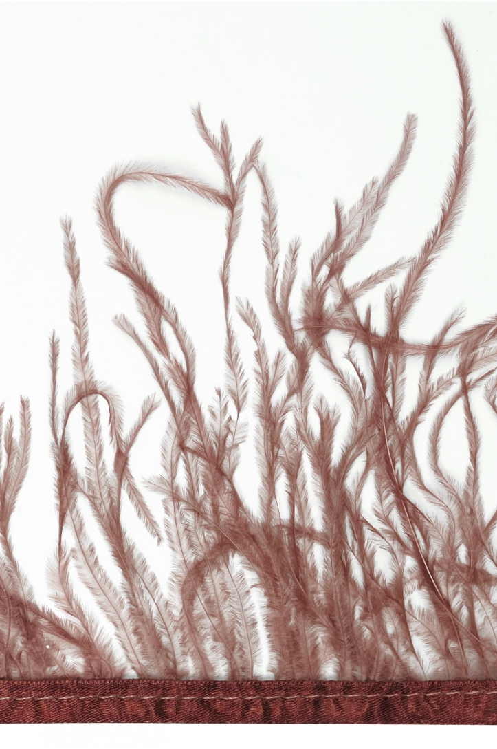 BAND VL STRAUSSENFEDER-1030