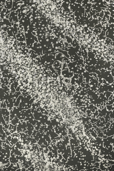 TÜLL MIT GLITZER AKB-3390 LUX