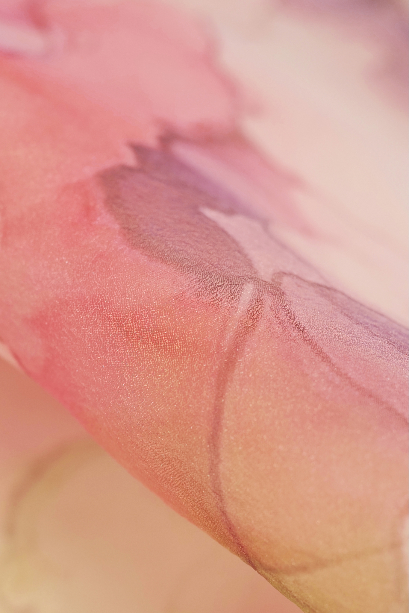 ORGANZA DRUKOWANA MLORGDRUK599