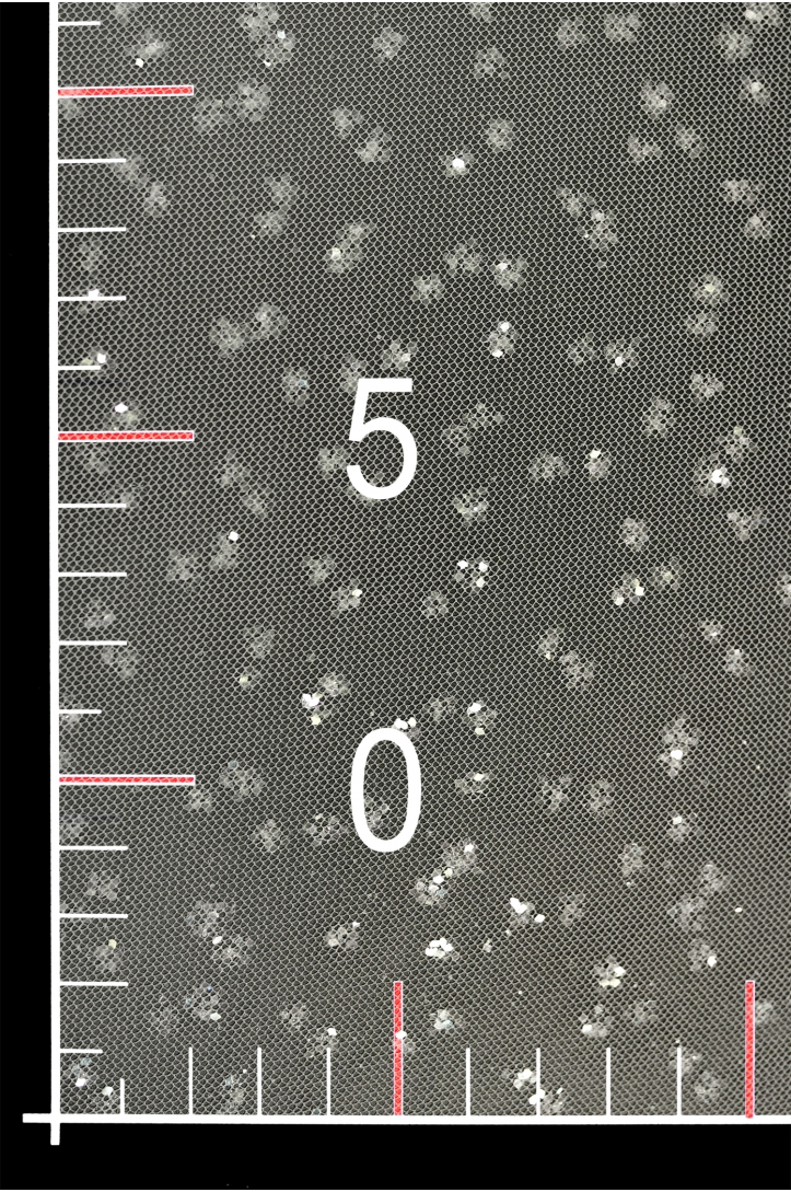 TULLE WITH GLITTER VOTIUL ŁUSKA