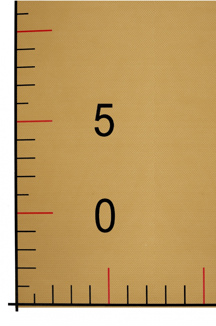 ELASTISCHER TÜLL W220