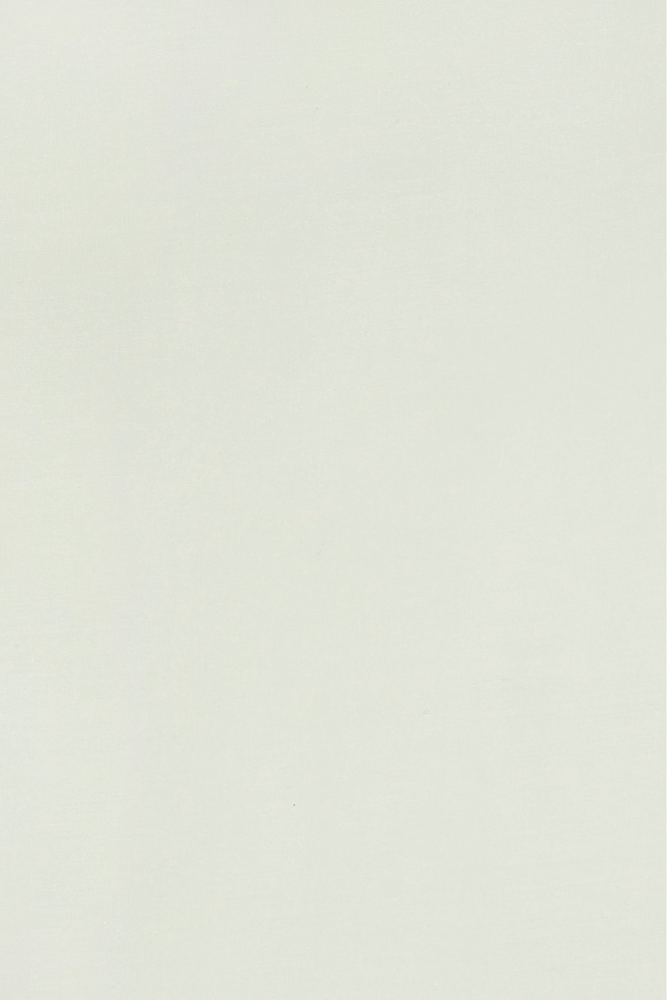 ORGANZA, SEIDENNACHAHMUNG MLORG80