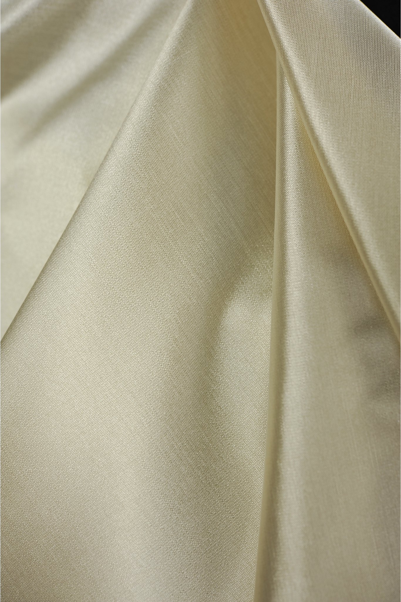SILK TAFFETA MEMORY