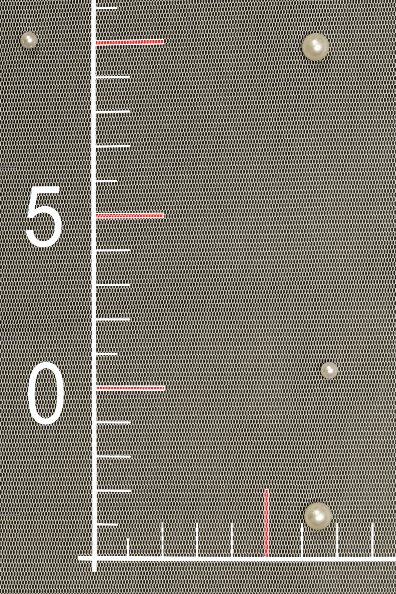 TÜLL MIT PERLEN AK-LYCT BLUSH