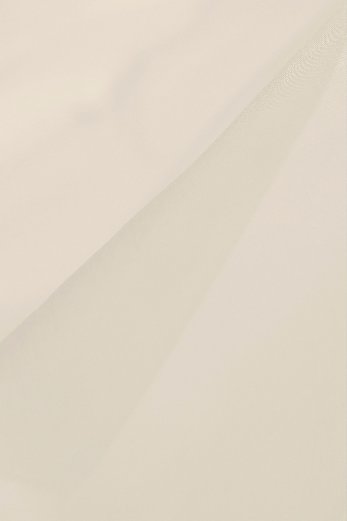 SEIDENORGANZA SILK10151