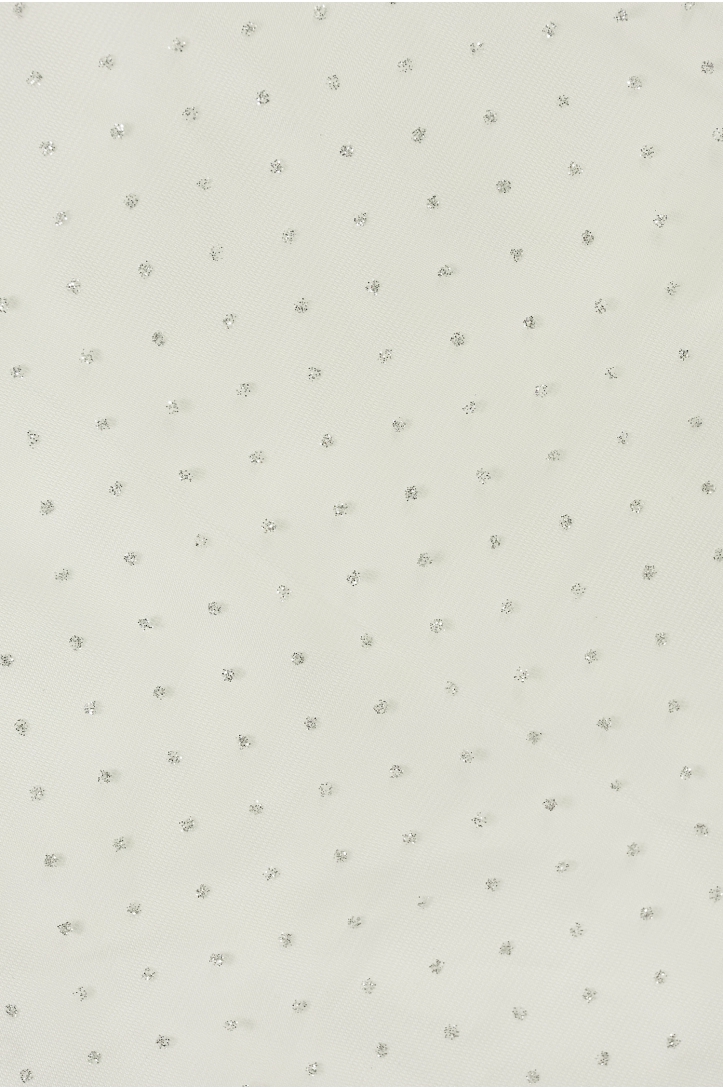CDDE CRYSTAL TULLE GLITTER SILVER DOTS