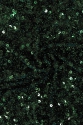 X1870 SEQUINS